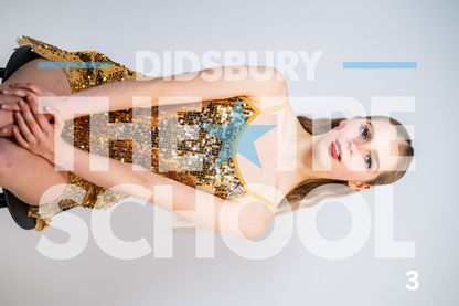 Seniors Show Portraits