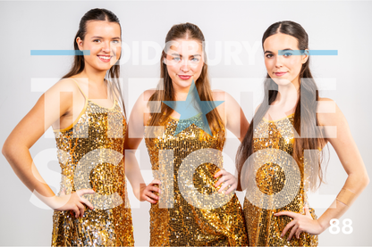 Seniors Show Portraits